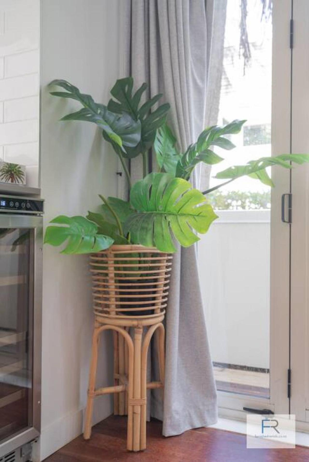 Chic Parnell Townhouse Villa Auckland Kültér fotó